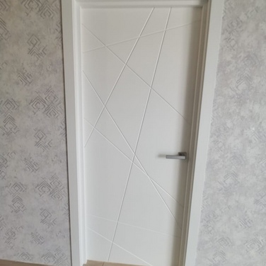 Дверь Вектор эмаль 1