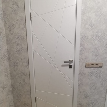 Дверь Вектор эмаль 3