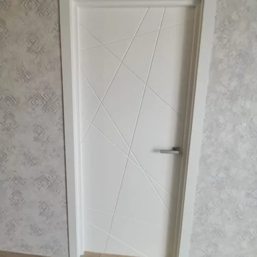 Дверь Вектор эмаль 1