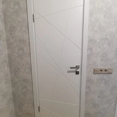 Дверь Вектор эмаль 3