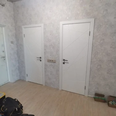 Дверь Вектор эмаль 5