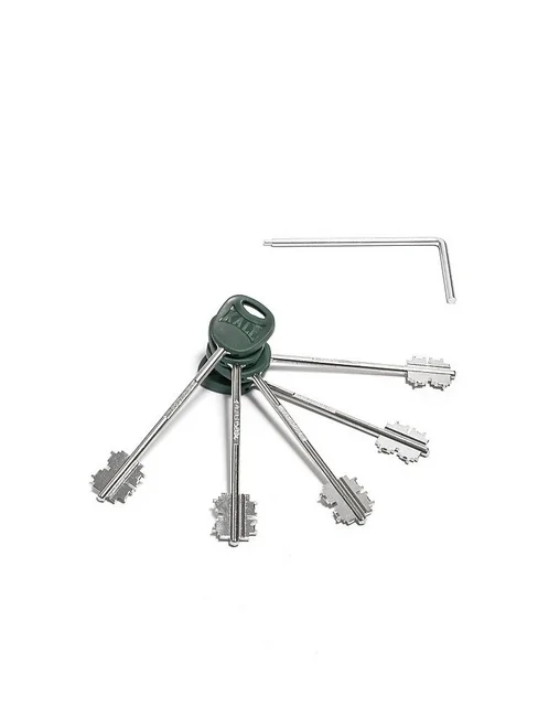 Ключи для перекодировки замков Kale 472 LR/476 LR, цвет: Хром